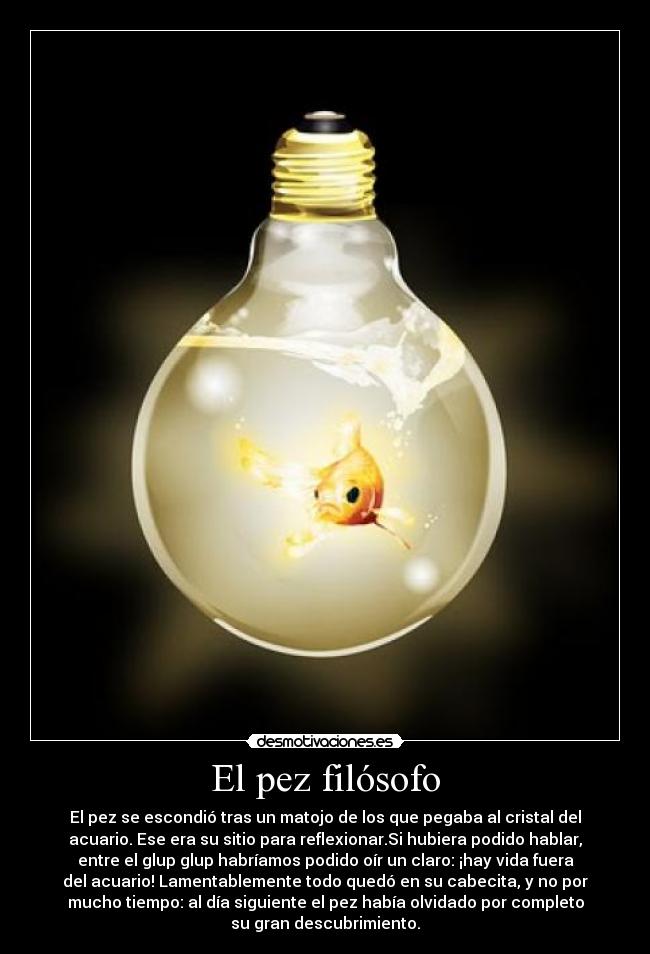 El pez filósofo - 