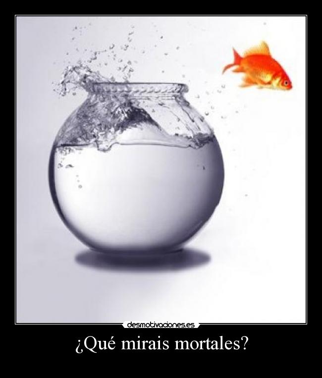 ¿Qué mirais mortales? -