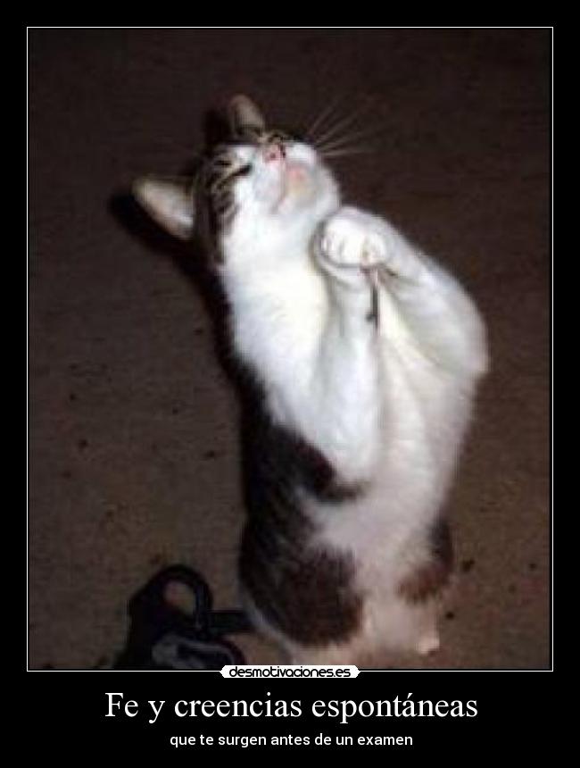 Fe y creencias espontáneas -