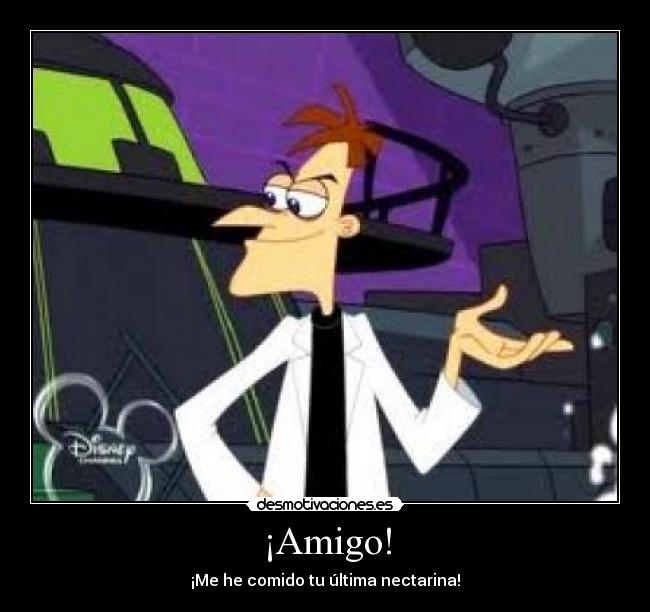 ¡Amigo! -