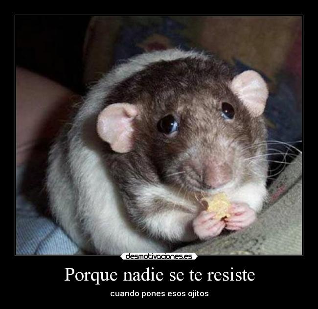 Porque nadie se te resiste - cuando pones esos ojitos