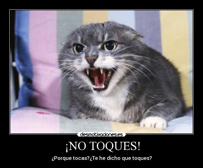 ¡NO TOQUES! - ¿Porque tocas?¿Te he dicho que toques?