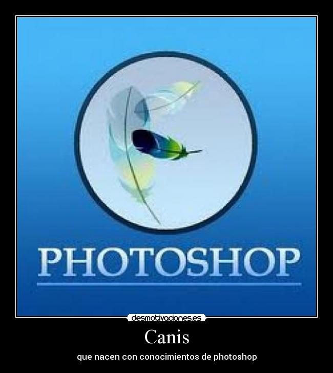 Canis - que nacen con conocimientos de photoshop