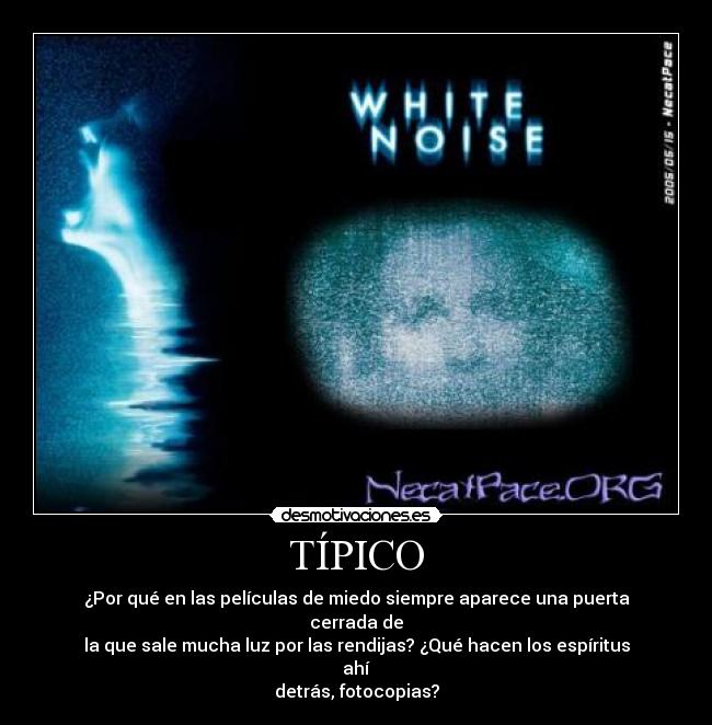 TÍPICO - 