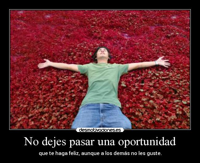 No dejes pasar una oportunidad -
