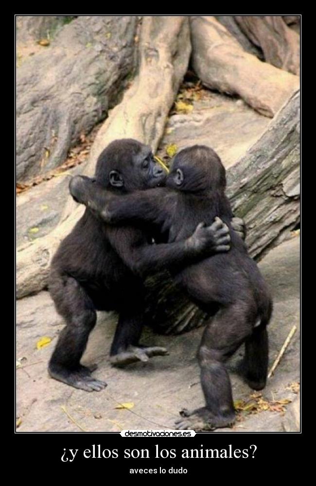 ¿y ellos son los animales? - aveces lo dudo