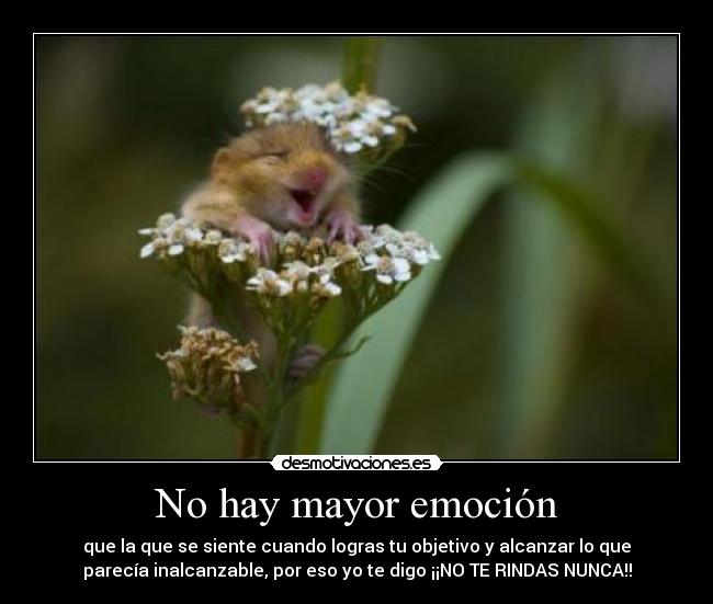 No hay mayor emoción - que la que se siente cuando logras tu objetivo y alcanzar lo que
parecía inalcanzable, por eso yo te digo ¡¡NO TE RINDAS NUNCA!!