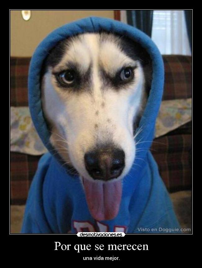 Por que se merecen -