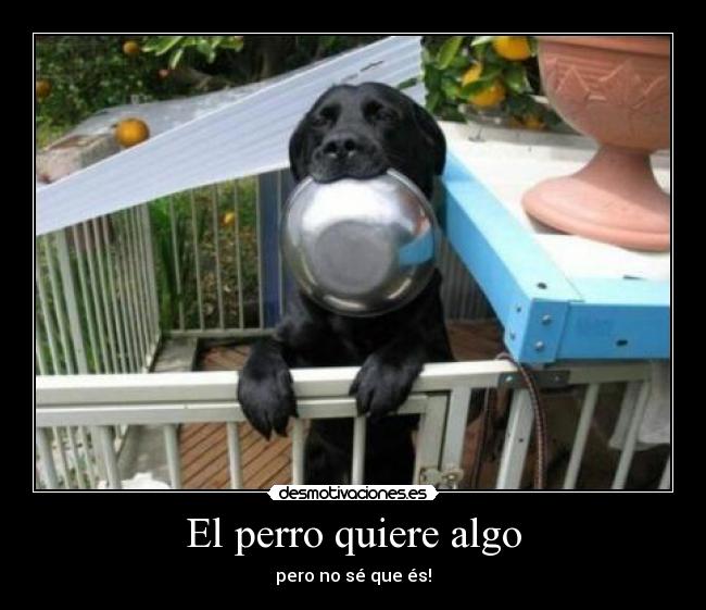 carteles homer elperro kiere algo desmotivaciones