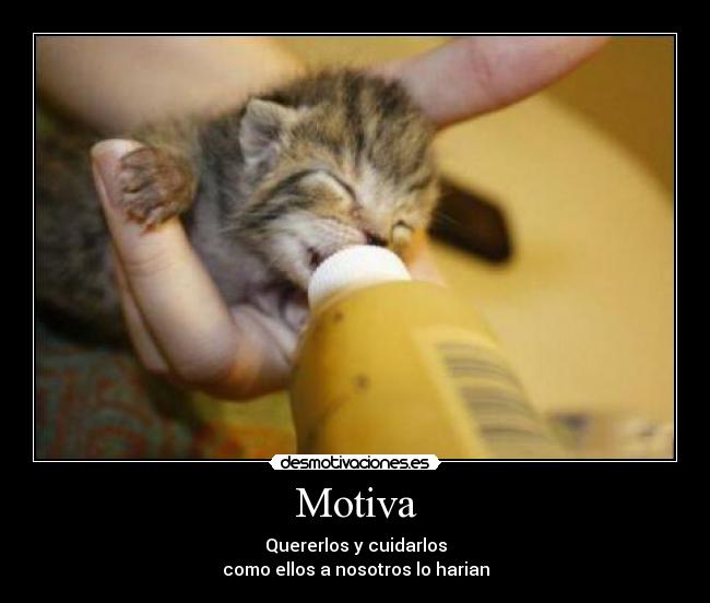 Motiva - Quererlos y cuidarlos
como ellos a nosotros lo harian