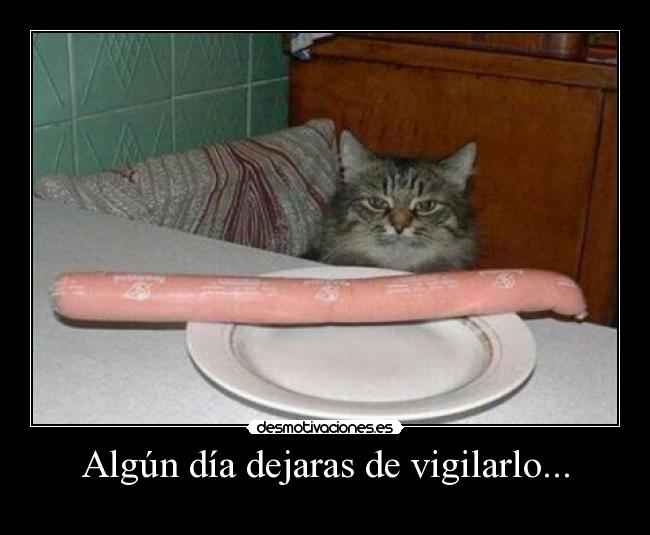 Algún día dejaras de vigilarlo... - 