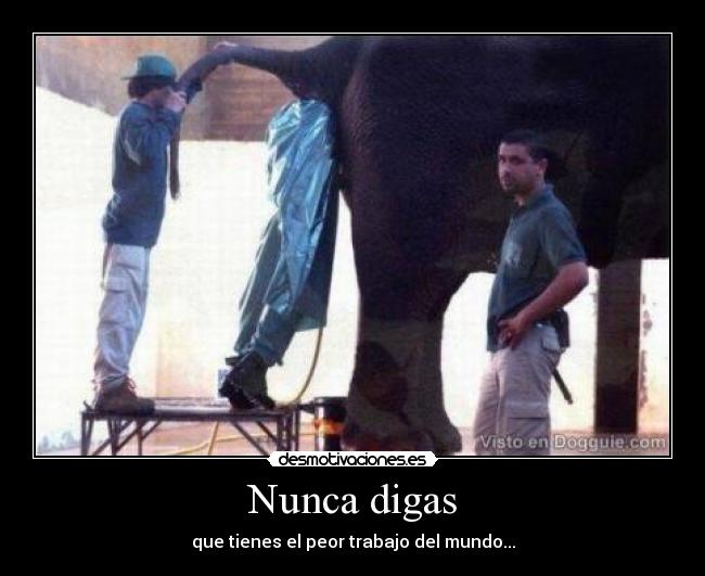 Nunca digas - que tienes el peor trabajo del mundo...