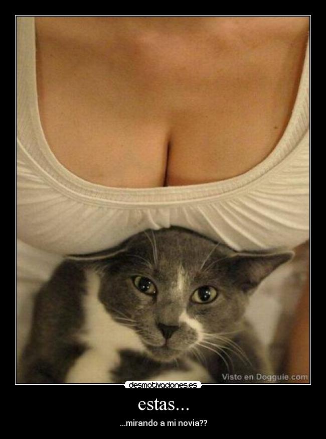 estas... -