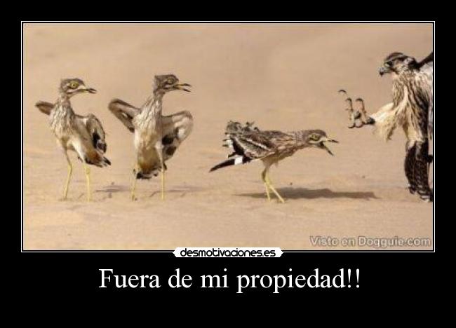 Fuera de mi propiedad!! - 