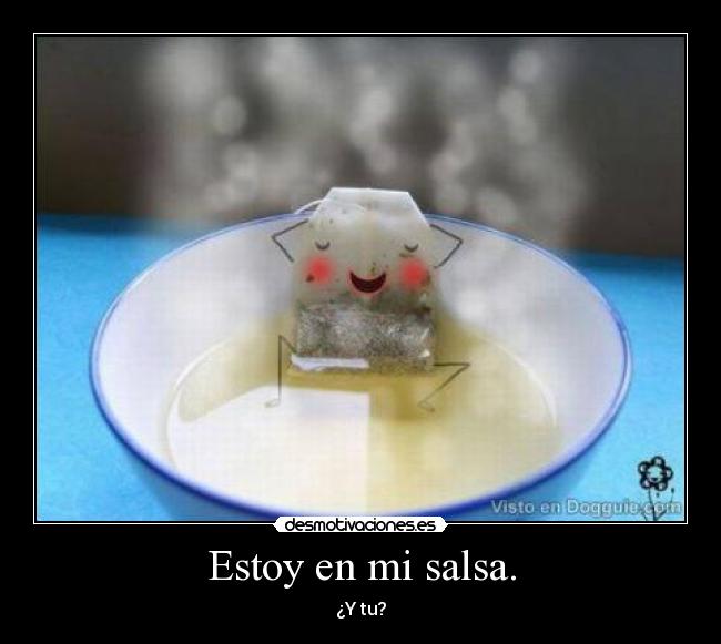 Estoy en mi salsa. - 
