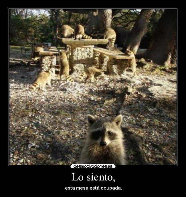 Lo siento, - esta mesa está ocupada.