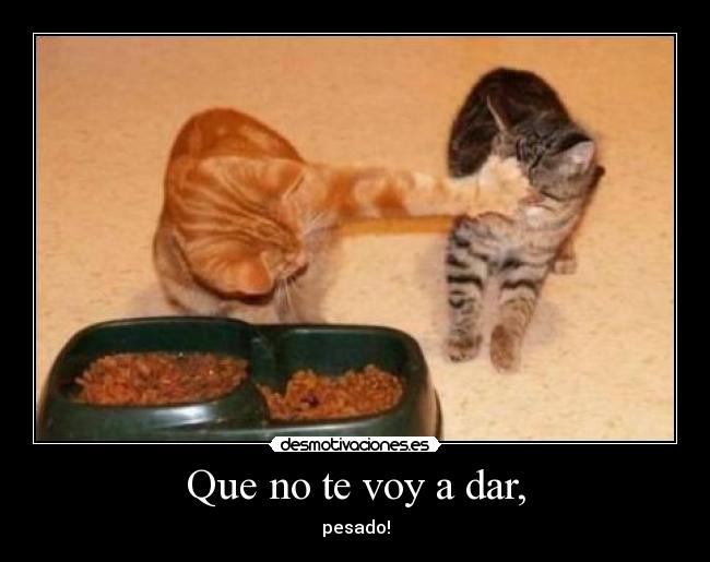 Que no te voy a dar, - pesado!