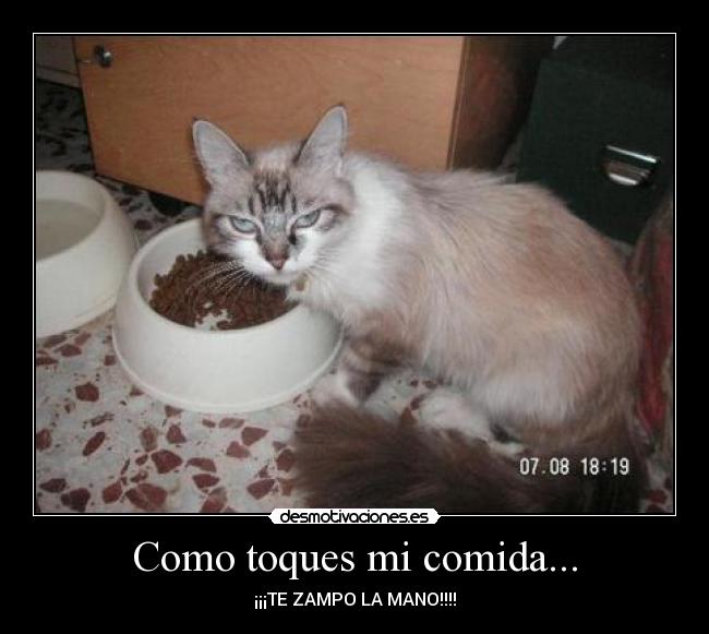 carteles comida desmotivaciones