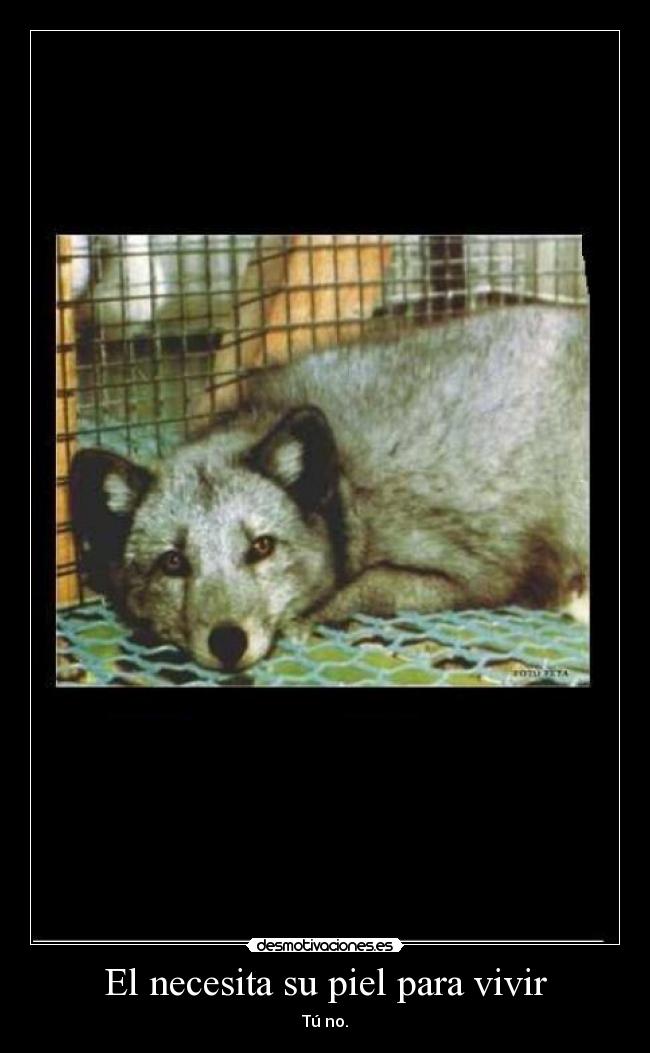 El necesita su piel para vivir - 
