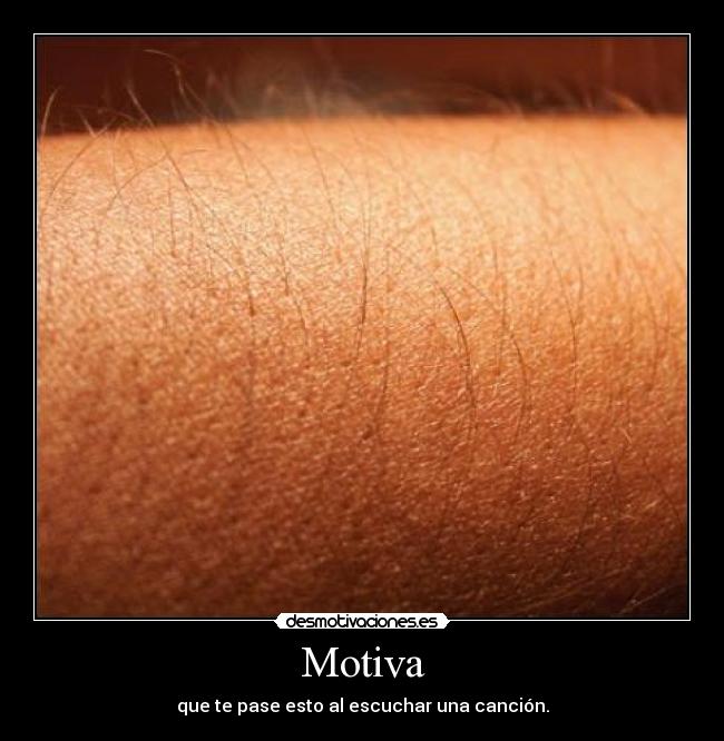 Motiva - 