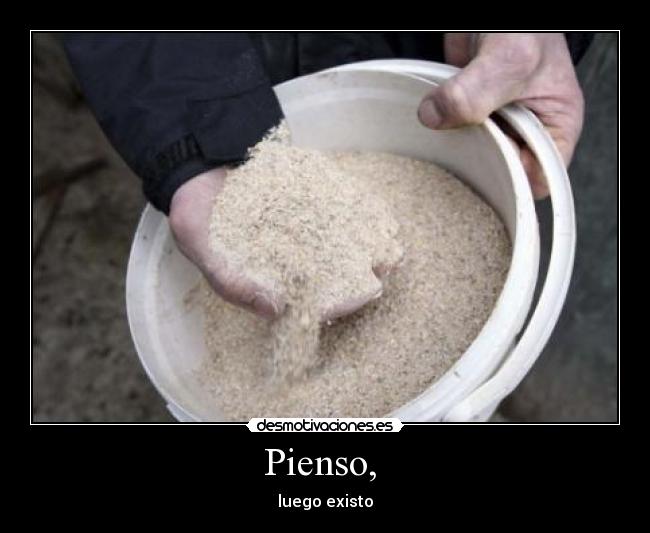 Pienso,  - luego existo