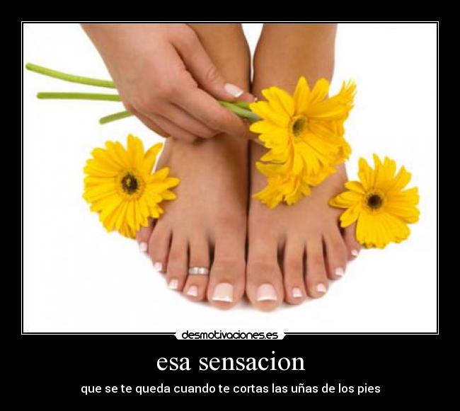 esa sensacion - 