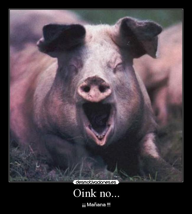 Oink no... - ¡¡¡ Mañana !!!