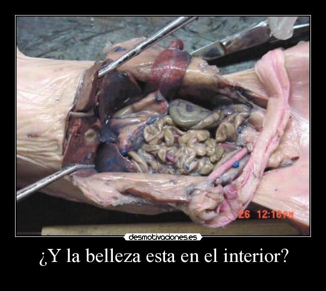 ¿Y la belleza esta en el interior? -