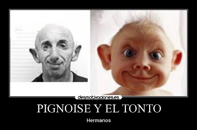 PIGNOISE Y EL TONTO - Hermanos