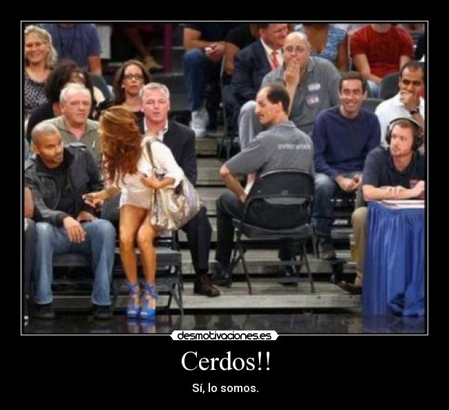 Cerdos!! -
