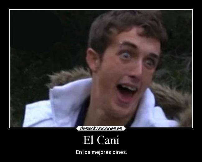 carteles cani desmotivaciones