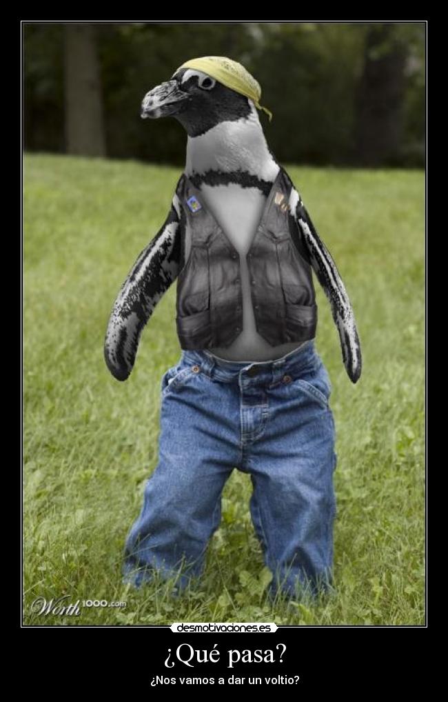 ¿Qué pasa? - ¿Nos vamos a dar un voltio?