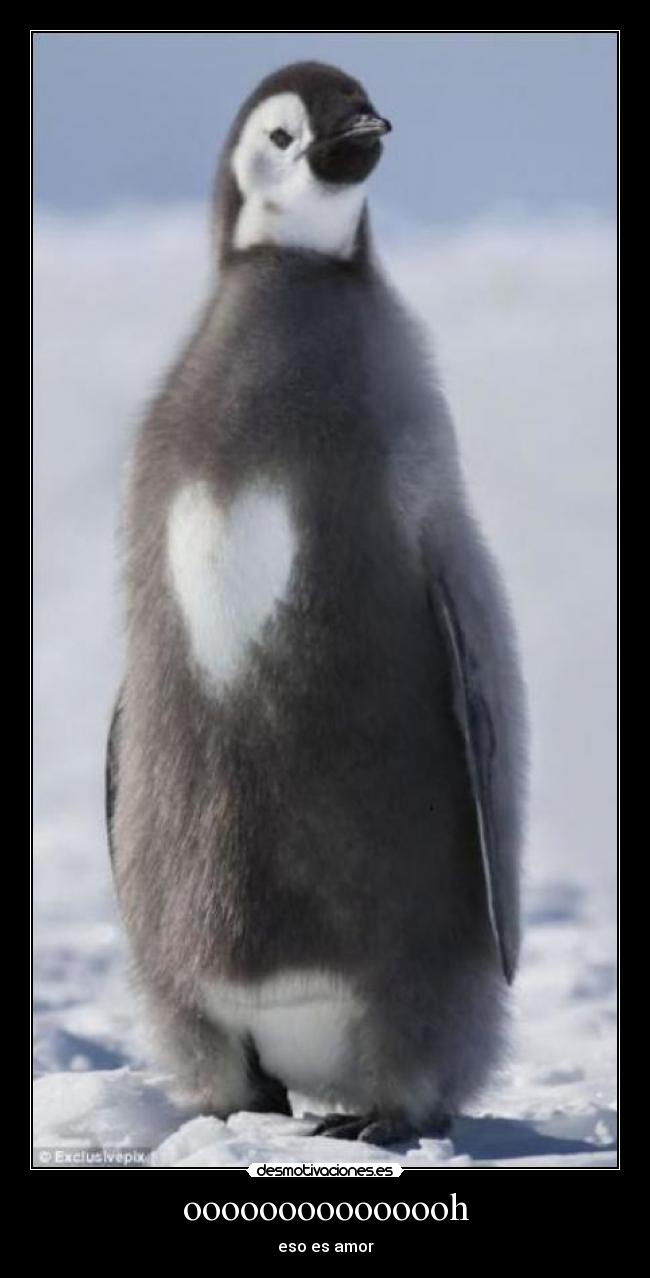 ooooooooooooooh - eso es amor