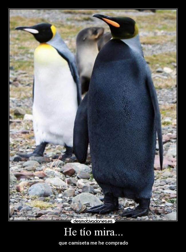 He tío mira... - que camiseta me he comprado