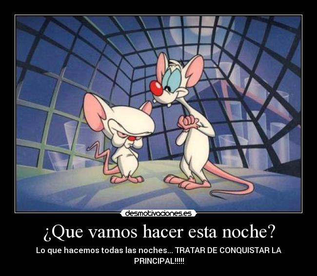 ¿Que vamos hacer esta noche? - Lo que hacemos todas las noches... TRATAR DE CONQUISTAR LA PRINCIPAL!!!!!