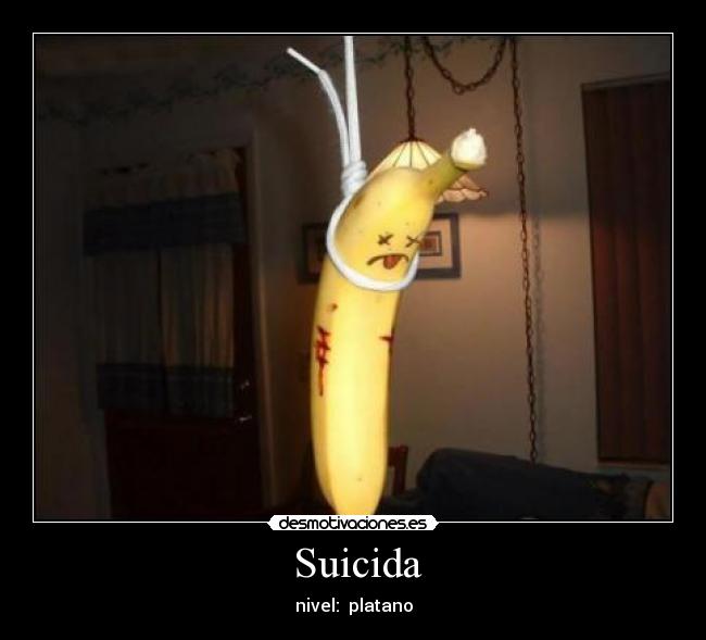  Suicida - 