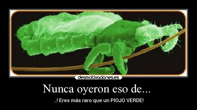 Nunca oyeron eso de... -