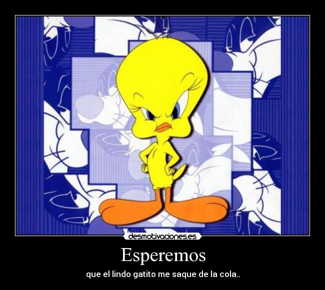 carteles piolin desmotivaciones