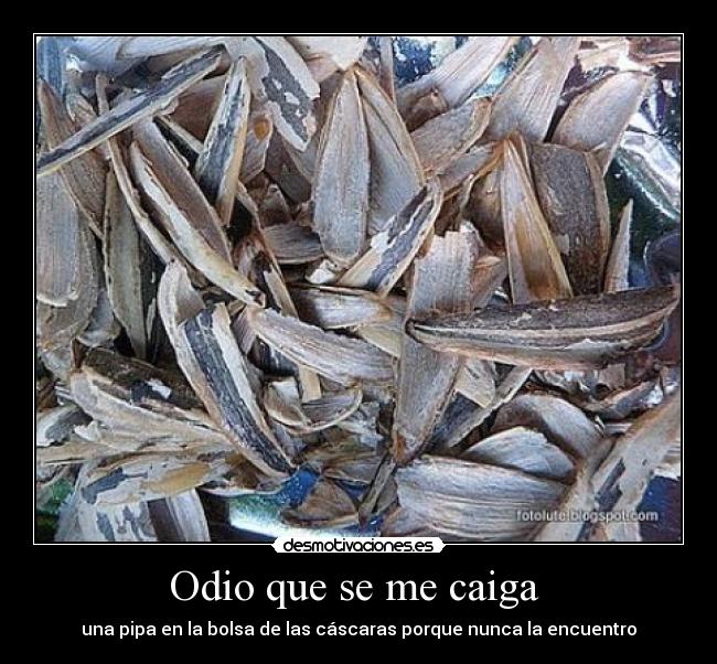 Odio que se me caiga  - 