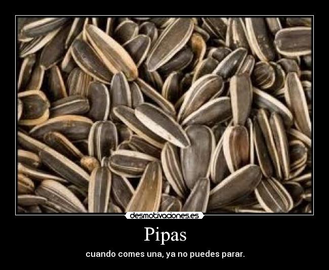 Pipas - 