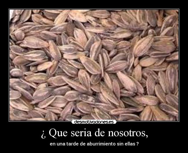 ¿ Que seria de nosotros, - en una tarde de aburrimiento sin ellas ?