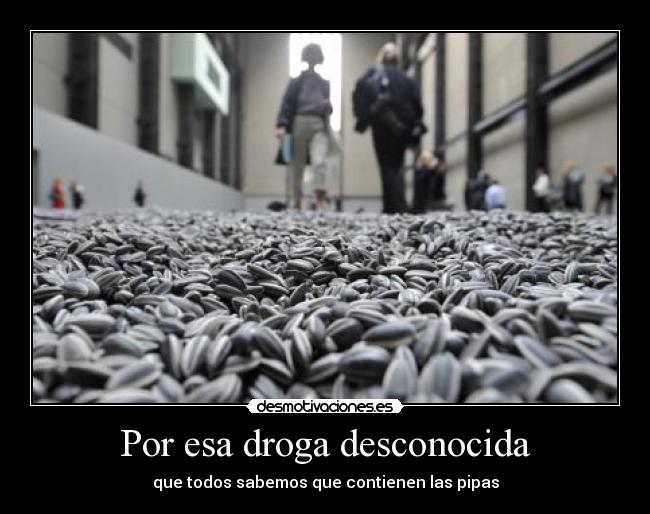 Por esa droga desconocida - que todos sabemos que contienen las pipas