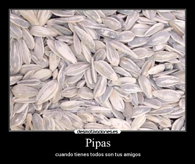 Pipas - cuando tienes todos son tus amigos