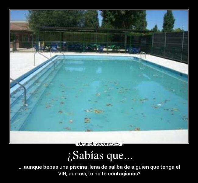 ¿Sabías que... - ... aunque bebas una piscina llena de saliba de alguien que tenga el
VIH, aun así, tu no te contagiarías?