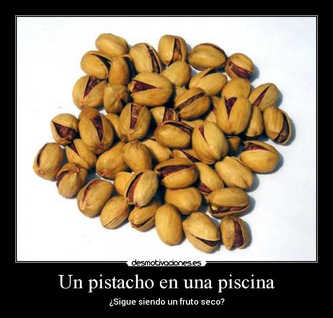 Un pistacho en una piscina -