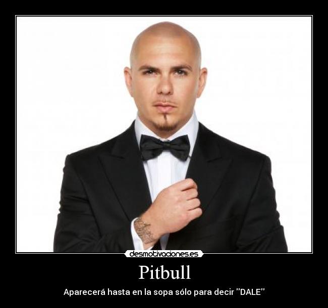 Pitbull - 
