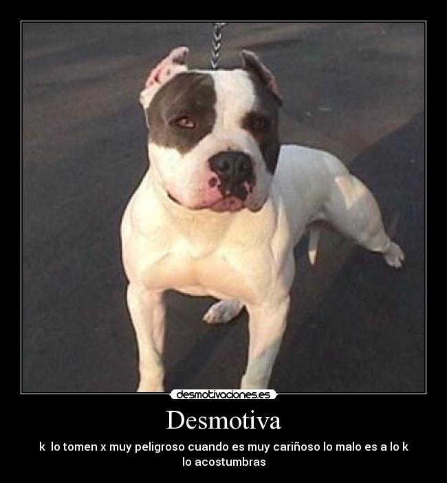 Desmotiva -