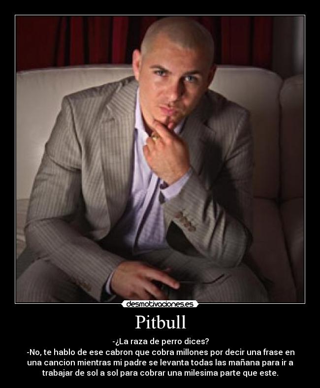 Pitbull - 