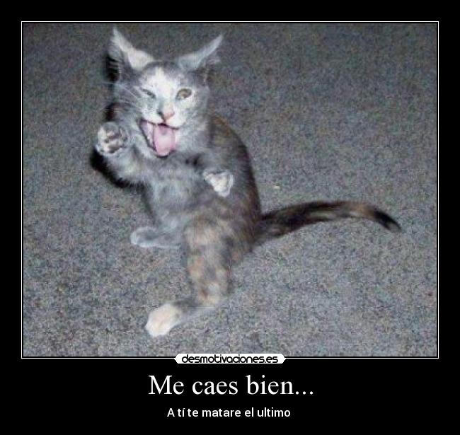 Me caes bien... - 