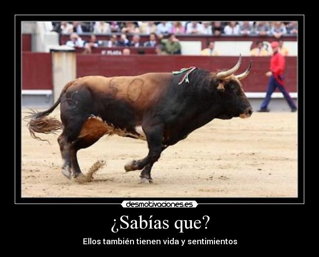 ¿Sabías que? - Ellos también tienen vida y sentimientos